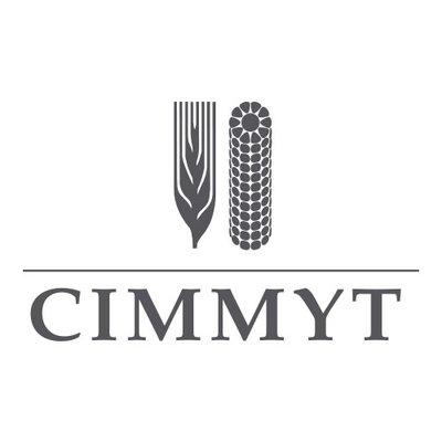 International Maize and Wheat Improvement Center (CIMMYT)