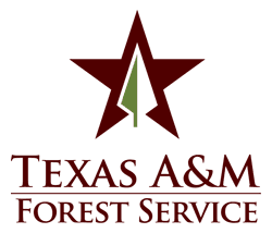 Texas A&M Forest Service