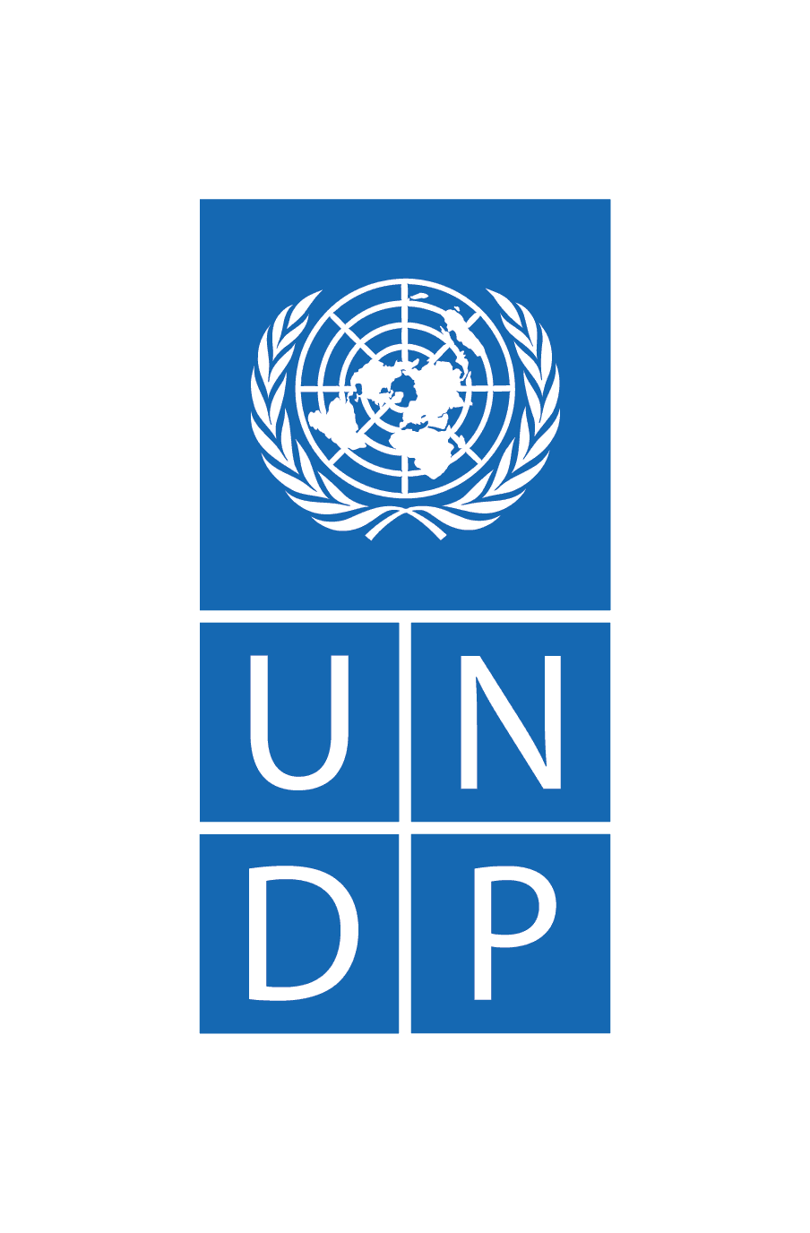 UNDP - United Nations Development Programme